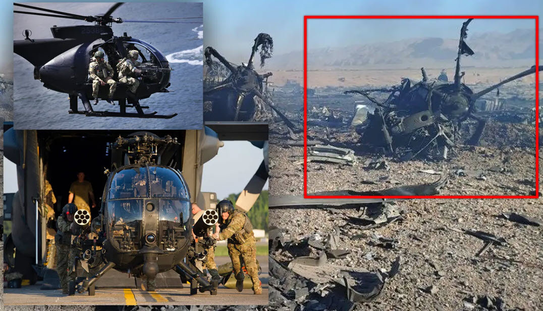 little-bird-iran little-bird-iran